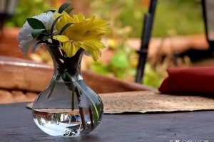 福缘论坛福缘论坛真的吗