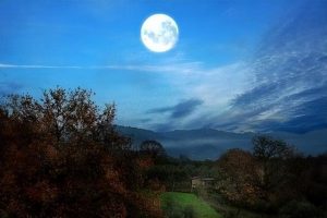 郎玉郎玉麟简历