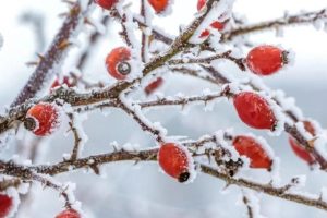 圈粉是什么意思圈粉的意思被圈粉是什么意思