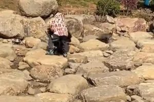 世界上最恐怖的孔雀世界上最恐怖的孔雀长什么样