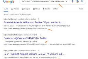 怎么看推特怎么看推特上的内容视频