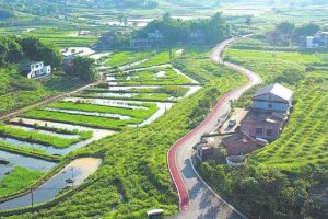 乡镇空缺生意乡下有什么可以代加工的