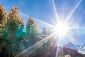 真的千万不要做仓管