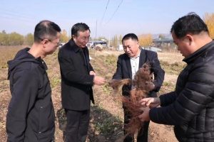 寻找药厂合作种植药材寻求药材种植合作