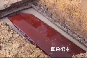 三星堆女尸有复原图三星堆挖出不该出现的物品