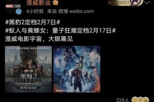 漫威电影为什么不在中国上映复仇者联盟5_钢铁重生在线观看