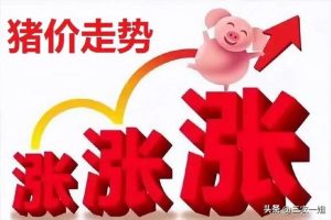 2022年养什么挣钱最快的2022年养啥最挣钱东北