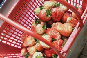 十大巅峰都市系统流小说排行榜(2)