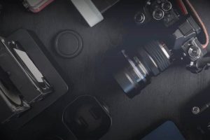 2022年养什么挣钱最快的2022年养什么有前景