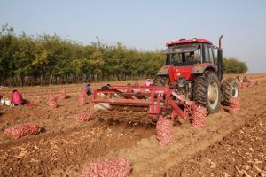 寻找药厂合作种植药材和药厂合作做一个中药材种植基地