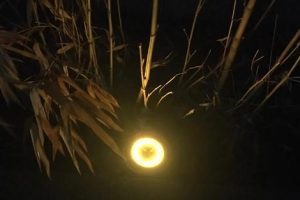 拼多多—分抢真实吗拼多多一分抢购是真的吗