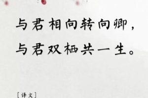 用古文暗示我等你白茶清欢无别事,我在等风也等你全诗