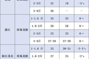 龙胆鱼价格—斤多少钱活龙胆鱼多少钱一斤