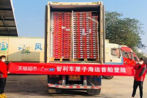 车厘子2j3j4j是什么意思车厘子2j4j是什么意思