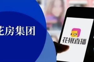 网络擦边球暴利项目网络擦边球暴利项目