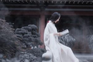 用古文暗示我等你白茶清欢无别事,我在等风也等你