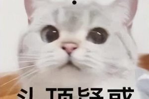 京东定金交了不想买了怎么办京东定金不能退怎么办