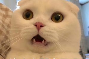 自我惩罚的方法要狠毒1到50种24小时憋尿时间表