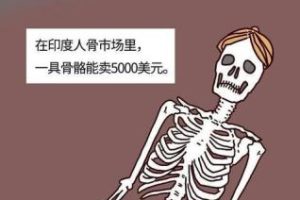 现在—个肾值多少钱