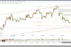 做单芜湖做单管核酸多久能出来