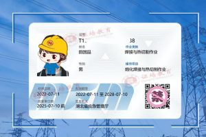 国网可查的焊工证国家安监局特种作业操作证官网