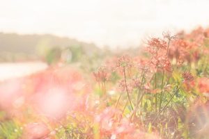 超a禁欲系网名女超a禁欲系网名女