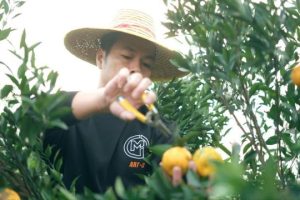 拼多多助力全是福气满满拼多多福气满满还有希望吗