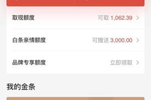 京东白条千万别提前还款京东白条怎么提前全部还清