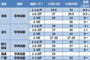 龙胆鱼价格—斤多少钱十斤龙胆鱼多少钱
