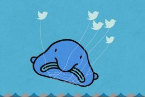 怎么看推特怎么看推特上的内容啊