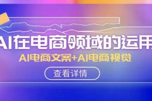 AI-在电商领域的运用线上课，AI电商文案 AI电商视觉（14节课）